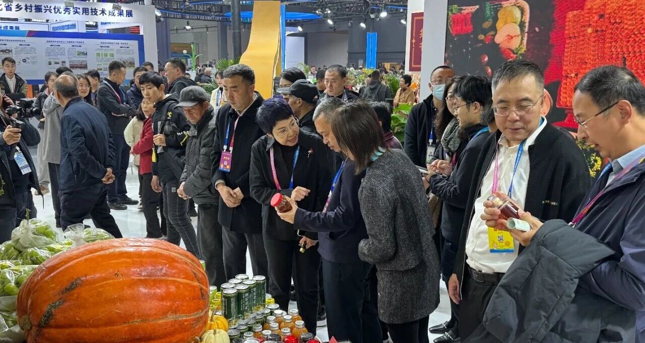 1763605745943059918.jpg 655b4696a39b88a11211ce22327ff332.jpg